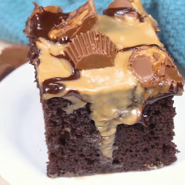 Slow Cooker Chocolate Peanut Butter Cake