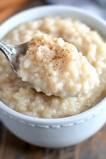 slow cooker rice pudding