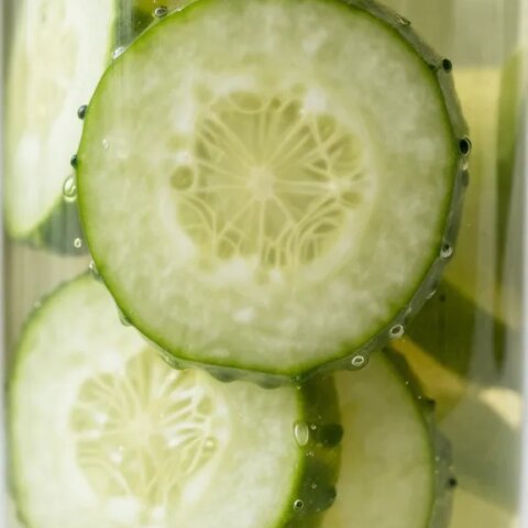 Closeup of a cucumber slice jar label focus with pickling brine glow